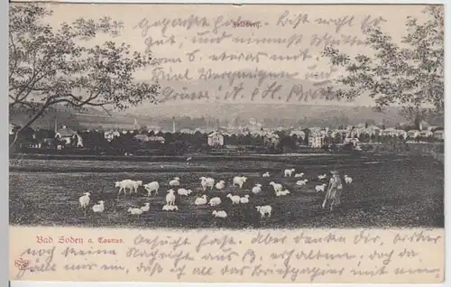 (16348) AK Bad Soden a. Taunus, Panorama mit Feldberg 1905