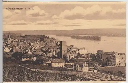 (13148) AK Rüdesheim am Rhein, Panorama, vor 1945