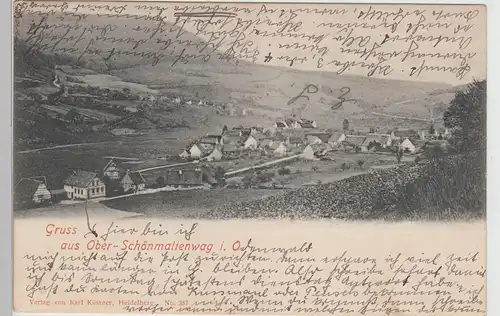 (114965) AK Gruß aus Ober Schönmattenwag, Panorama 1908