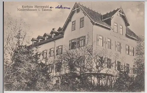 (114589) AK Niedernhausen, Taunus, Kurhaus Herrnwald 1913