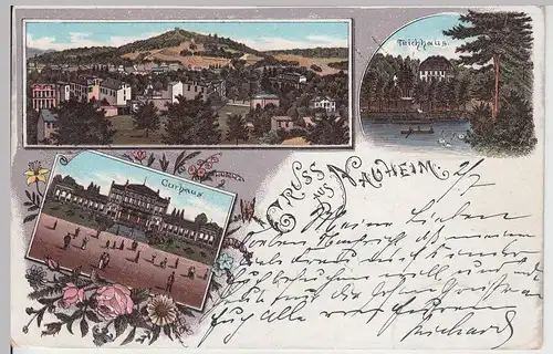 (113637) Künstler AK Gruß aus Nauheim, Kurhaus, Teichhaus 1900