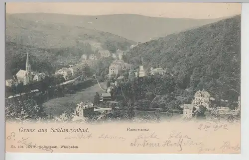 (113546) AK Gruß aus Schlangenbad, Panorama 1902