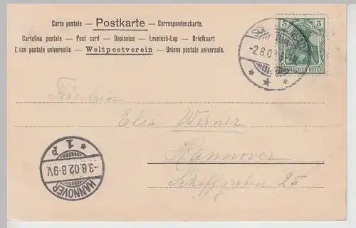 (113546) AK Gruß aus Schlangenbad, Panorama 1902