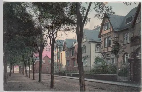 (113254) AK Neu Isenburg, Bismarck Allee 1911
