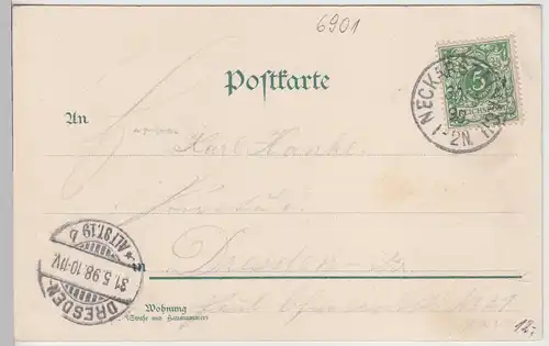 (113066) Künstler AK Neckarsteinach, 1898