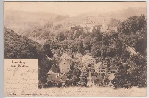 (112861) AK Bensheim, Schönberg mit Schloss 1902