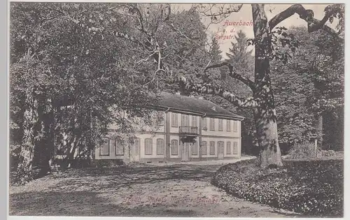 (112157) AK Auerbach Bergstraße, Bensheim, Fürstenlager, Palais, 1910er