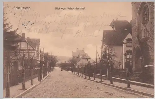 (111380) AK Salmünster, Blick vom Kriegerdenkmal, 1916