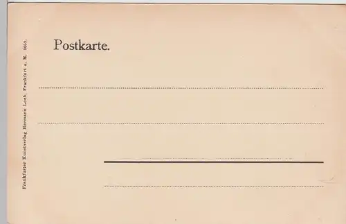 (111369) AK Bad Nauheim, Terassenstraße vor 1905