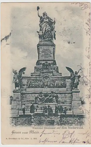 (111182) AK Nationaldenkmal a.d. Niederwald, Perlmutt-Effekt 1899