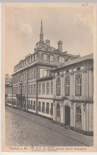 (106957) AK Höchst am Main, Frankfurt, Neues Rathaus, Bolongaropalast 1919