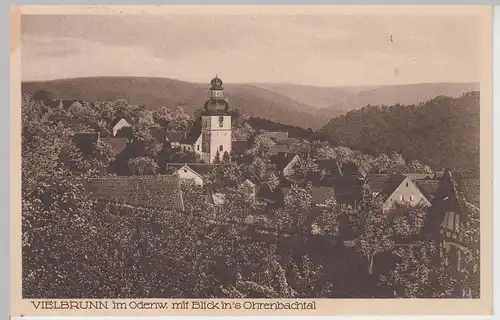 (106221) AK Vielbrunn, Ansicht mit Blick ins Ohrenbachtal 1930