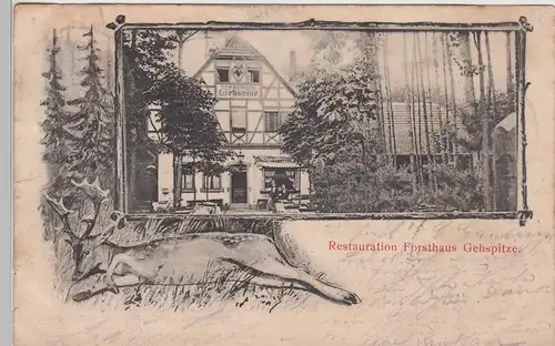 (104457) AK Gehspitz, Restauration Forsthaus Gehspitze, 1904