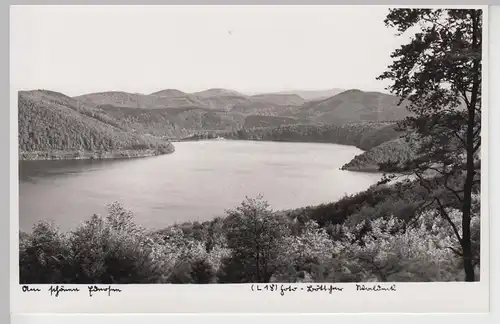 (104416) Foto AK Edersee, Blick zur Sperrmauer