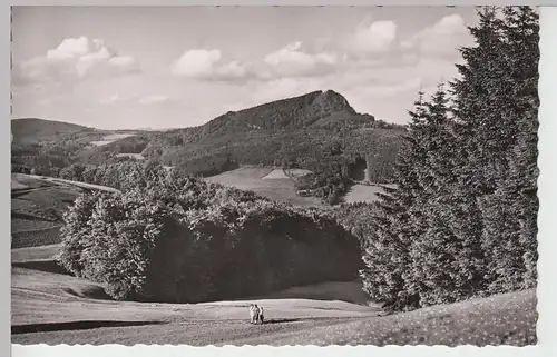(100831) Foto AK Milseburg, Rhön, nach 1945