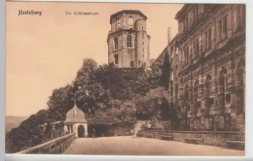 (97263) AK Heidelberg Schloss, Altane, um 1906