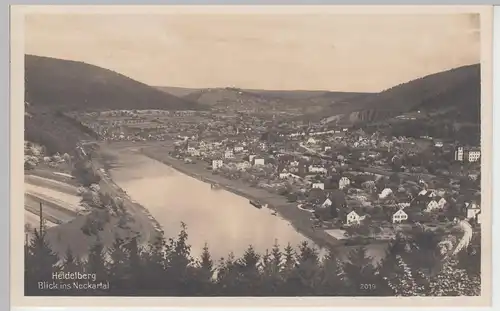 (85046) Foto AK Heidelberg, Blick ins Neckartal, vor 1945