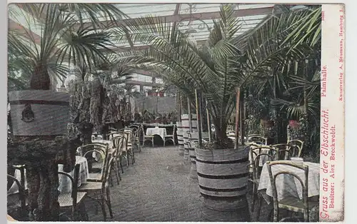 (100872) AK Gruß aus der Elbschlucht, Hamburg, Palmhalle 1906