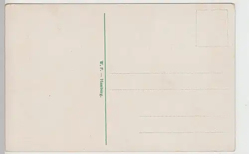 (100011) AK Hamburg, Baakenhafen, Woermanndampfer, vor 1945