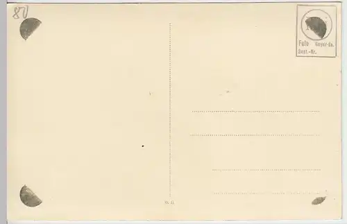 (33974) Foto AK 2.WK Festumzug, Musiker, Verkleidung als Tiere, vor 1945