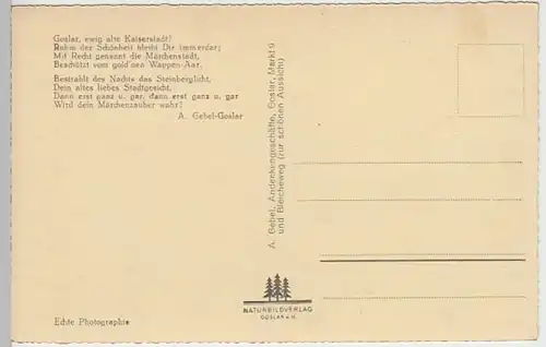 (20240) Foto AK Goslar, Panorama, Steinberg, vor 1945