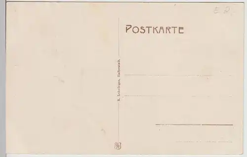 (115812) AK Goslar, Steinberghotel 1910er