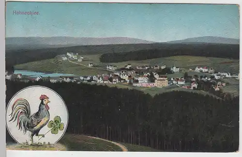 (110050) AK Hahnenklee, Goslar, Panorama 1912