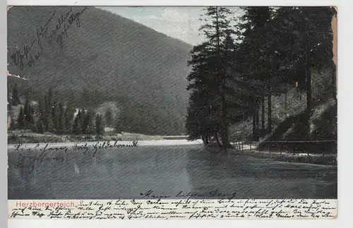 (106591) AK Goslar, Herzbergerteich, 1906