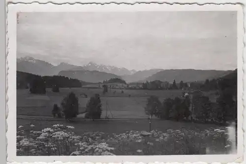 (F7561) Orig. Foto Krottenköpfe, Kratzer u. Mädelegabel 1942, Blick v.d. Sau??al