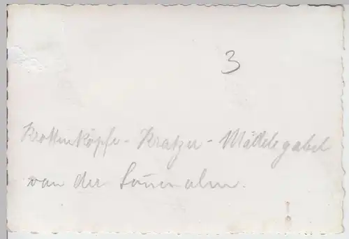 (F7561) Orig. Foto Krottenköpfe, Kratzer u. Mädelegabel 1942, Blick v.d. Sau??al