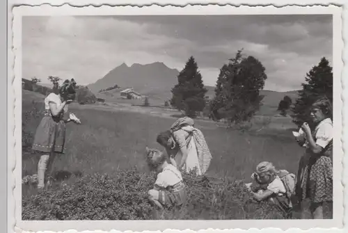 (F7555) Orig. Foto Schweineberg (Ofterschwang), Mädchen beim Blaubeerpflücken, 1