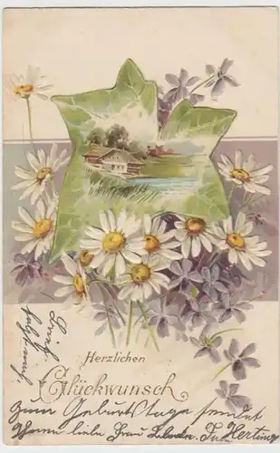 (14991) AK Glückwunsch, Prägekarte, Efeublatt, Margeriten 1903