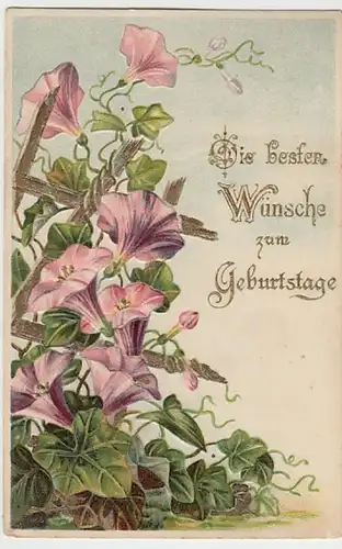 (26190) Künstler AK Geburtstag, Prägekarte, Winde, Golddruck 1911