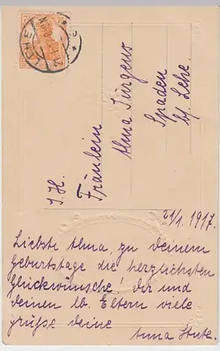 (21166) AK Geburtstag, Prägekarte, Veilchen, Haus am Wasser 1917