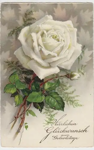 (13110) AK Geburtstag, weiße Rose, vor 1945
