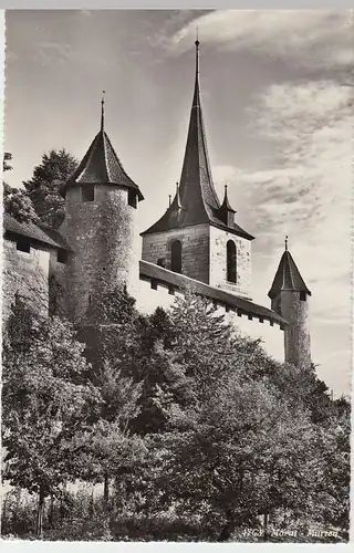(53700) Foto AK Murten, Schloß Morat, nach 1945