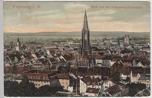 (95075) AK Freiburg, Breisgau, Blick von der Schlosspromenade 1906