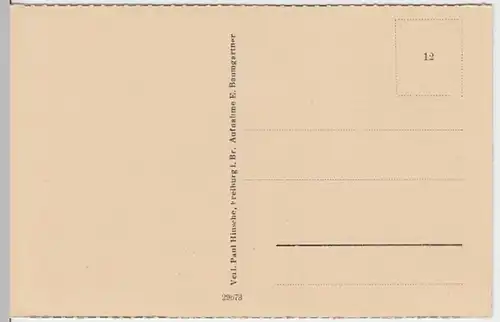 (8559) AK Freiburg im Breisgau, Panorama, Münster, vor 1945