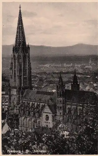 (83987) Foto AK Freiburg im Breisgau, Münster