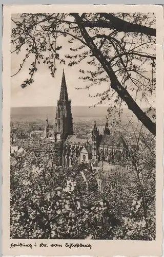 (69456) Foto AK Freiburg im Breisgau, Münster, Blick v. Schlossberg 1936