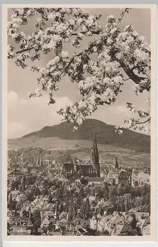 (69447) Foto AK Freiburg im Breisgau, Panorama mit Münster 1953