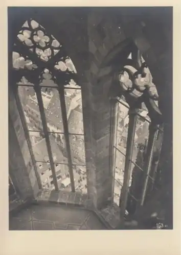 (478) Foto AK Freiburg im Breisgau, Münsterturm