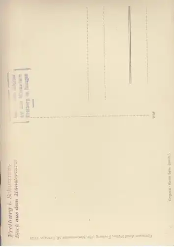 (478) Foto AK Freiburg im Breisgau, Münsterturm