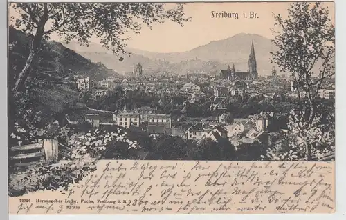 (111745) AK Freiburg, Breisgau, Panorama 1904