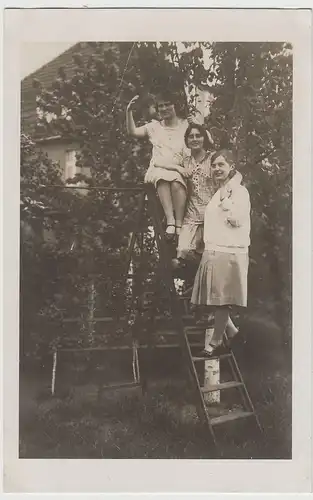 (82754) orig. Foto 3 Damen auf Leiter im Garten, vor 1945