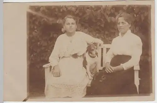 (29721) orig. Foto Frauen mit kleinem Hund auf Bank, vor 1945