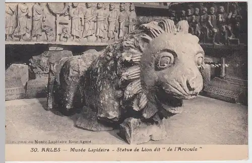 (53532) AK Arles, Musee Lapidaire, Statue de Lion dit "de L'Arcoule", vor 1945
