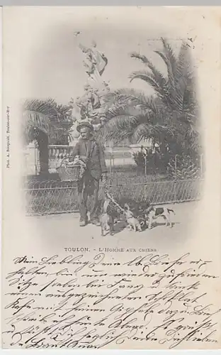 (31204) AK Toulon, Mann m.Hunden an Statue, L'homme aux chiens, 1900