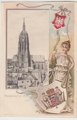 (96162) AK Frankfurt, Main, Dom, Wappen, Prägekarte, bis 1905