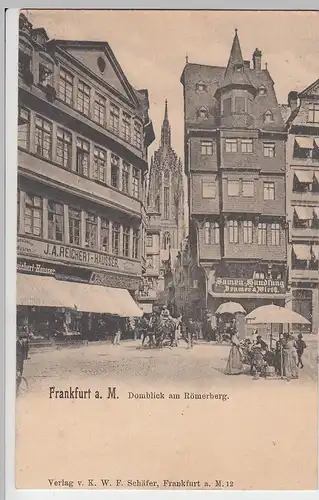 (96157) AK Frankfurt, Main, Domblick am Römerberg 1903